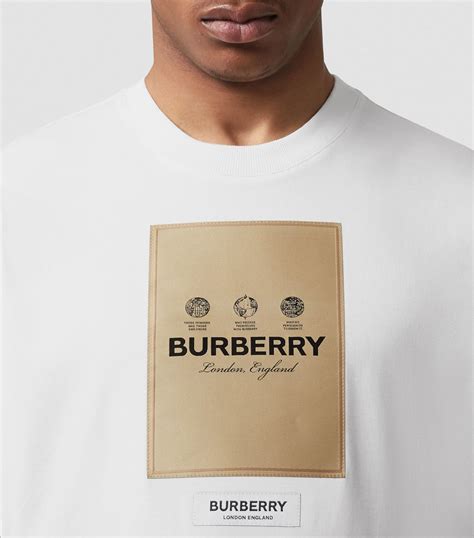 t-shirt herren burberry|burberry t shirt men price.